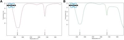 Polyherbal formulation conjugated to gold nanoparticles induced ferroptosis in drug-resistant breast cancer stem cells through ferritin degradation